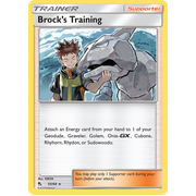 Brock's Training Hidden Fates (55/68)