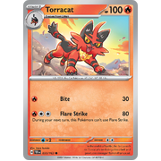 Torracat Reverse Holo 033/162 Common Scarlet & Violet Temporal Forces Near Mint Pokemon Card